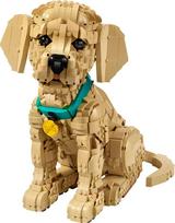 auksaspalvio retriveris - Lego Icons Golden Retriever šuniukas 11384 - 13 nuotrauka