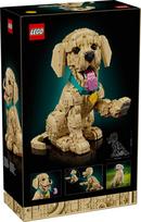 auksaspalvio retriveris - Lego Icons Golden Retriever šuniukas 11384 - 14 nuotrauka