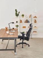 office chair - Activejet T5 ergonominė biuro kėdė juoda - 13 nuotrauka