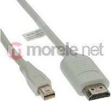hdmi kabelis 2m 2.0 - Kabelis InLine DisplayPort Mini - HDMI 2m baltas (17172I) - 1 nuotrauka