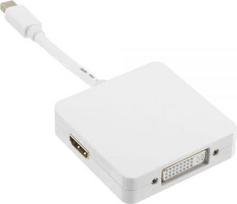 Adapteris AV InLine DisplayPort mini - HDMI - DisplayPort - DVI-D 0.15m baltas (17195I)