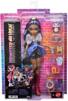 mattel - Mattel Monster High Robecca Steam lėlė, 28 cm + priedai - 1 nuotrauka
