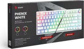 mechanine klaviatura geltoni - Savio Phenix Belaidė Mechaninė Klaviatūra, Balta (White) Gateron Geltona Pro - 2 nuotrauka