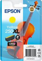 EPSON Singlepack Yellow 250XL ink | C13T16P44010