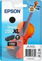 EPSON Singlepack Black 250XL ink | C13T16P14010
