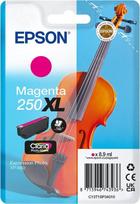 EPSON Singlepack Magenta 250XL ink | C13T16P34010