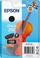 EPSON Singlepack Black 250 ink | C13T16N14010