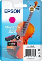 EPSON Singlepack Magenta 250 ink | C13T16N34010