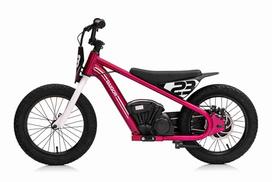 elektriniai motociklai - Elektrinis motociklas BAIGOR 23 PRO, Pink - 1 nuotrauka
