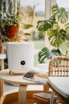 humidifier ultrasonic - Adler AD 7972 White (Baltas) - 3 nuotrauka