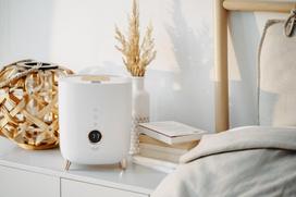 humidifier ultrasonic - Adler AD 7972 White (Baltas) - 5 nuotrauka
