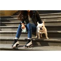 ledo sunys - PETKIT P2101 GO Shine White (Baltas) - 3 nuotrauka