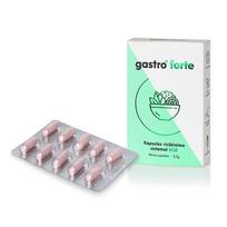 GastroForte kapsulės, N10