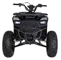 Benzininis keturratis 200CC MONSTER Juodas (Black)
