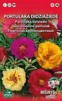 Portulakų didžiažiedžių sėklų mišinys, 0,2 g, Standart