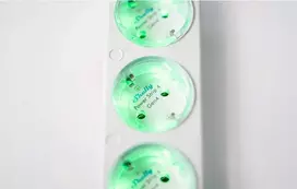 shelly gen4 - Shelly Power Strip 4 Gen4 - Baltas (White) - 1 nuotrauka