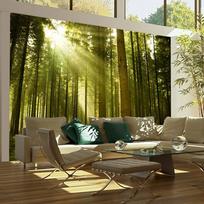 Fototapetas Artgeist Pine forest, 231 cm x 300 cm