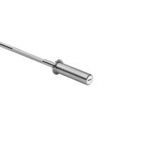 Tiesi olimpinė štanga 120 cm 6 kg REBEL ACTIVE