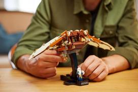 skraidanti - LEGO® Icons Leonardo da Vinci's Flying Machine 10363, 493 vnt. - 3 nuotrauka