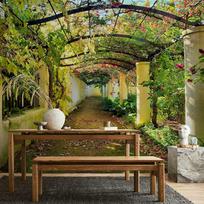 Fototapetas - Pergola