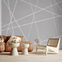 Fototapetas - Modern Cobweb
