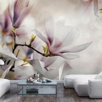 Fototapetas Artgeist Subtle Magnolias 5XLFT1848, 315 cm x 315 cm