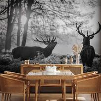 Fototapetas Artgeist Deers In The Morning, 280 cm x 400 cm
