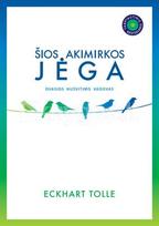 ŠIOS AKIMIRKOS JĖGA: dvasios nušvitimo vadovas (2020)