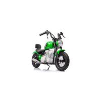 elektrinis motociklas - Elektrinis motociklas A9902 36V, Green - 1 nuotrauka
