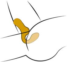 Your new favourite Your New Favorite Special Vibr klitorinis vibratorius