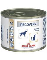 sunu maistas - Royal Canin Vet Dog/Cat Recovery 195 g - 1 nuotrauka