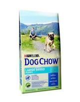 PURINA Purina dog chow puppy large breed 14 kg