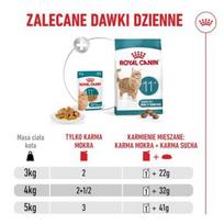 royal canin konservai katems - ROYAL CANIN Ageing 11+ Gabaliukai padaže - šlapias kačių maistas - 12x85 g - 2 nuotrauka