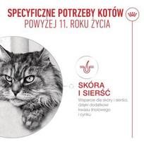 royal canin konservai katems - ROYAL CANIN Ageing 11+ Gabaliukai padaže - šlapias kačių maistas - 12x85 g - 3 nuotrauka