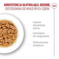 royal canin konservai katems - ROYAL CANIN Ageing 11+ Gabaliukai padaže - šlapias kačių maistas - 12x85 g - 6 nuotrauka