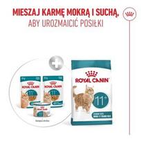 royal canin konservai katems - ROYAL CANIN Ageing 11+ Gabaliukai padaže - šlapias kačių maistas - 12x85 g - 7 nuotrauka