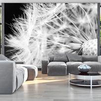 Fototapetas Artgeist Black And White Dandelion MNEW010916SAM, 105 cm x 147 cm