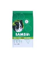 sausas maistas mazu veisliu sunims - IAMS ProActive Health Adult Small & Medium Breed Chicken 12 kg - 1 nuotrauka