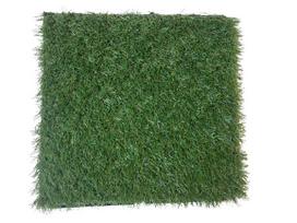 Dirbtinė žolė Garden Center, 0.3 m x 0.3 m x 20 mm