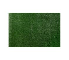 Dirbtinė žolė ALLGREEN 100x200 cm 30 mm žalia