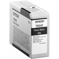 epson rasalas - EPSON C13T580100 - 2 nuotrauka