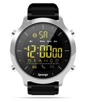 Sponge Surfwatch Black (Juoda)