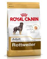 rotveileris - Royal Canin Rottweiler Adult 12 kg - 1 nuotrauka
