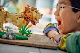 senukai lego - LEGO CREATOR 3 IŠ 1 Laukiniai gyvūnai: Didysis liūtas 31386 - 6 nuotrauka