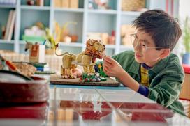 senukai lego - LEGO CREATOR 3 IŠ 1 Laukiniai gyvūnai: Didysis liūtas 31386 - 7 nuotrauka