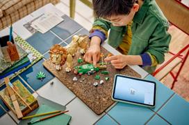 senukai lego - LEGO CREATOR 3 IŠ 1 Laukiniai gyvūnai: Didysis liūtas 31386 - 8 nuotrauka