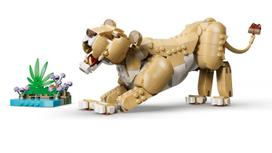 senukai lego - LEGO CREATOR 3 IŠ 1 Laukiniai gyvūnai: Didysis liūtas 31386 - 12 nuotrauka