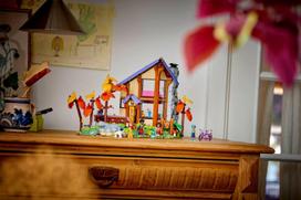 lego friends - LEGO FRIENDS Jauki rudens miško trobelė 42705 - 4 nuotrauka