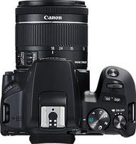 canon eos 250d - Canon EOS 250D 18-55 IS STM - 16 nuotrauka