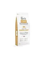 brit care senior - Brit Care Grain-Free Senior Salmon & Potato 12 kg - 1 nuotrauka